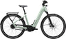 Flyer G1 Upstreet 7.43 Wave Frosty Sage Gloss E-Bike