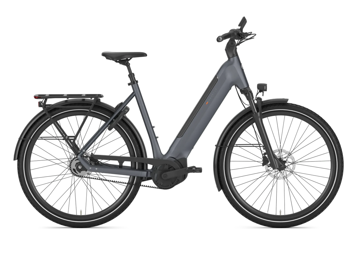 Gazelle Ultimate C5+ Low-Step E-Bike - Lifty Electric