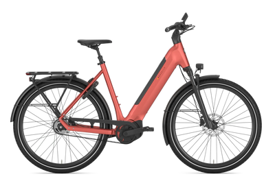 Gazelle Ultimate C5+ Low-Step E-Bike (S M L)