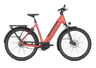 Gazelle Ultimate C5+ Low-Step E-Bike (S M L)
