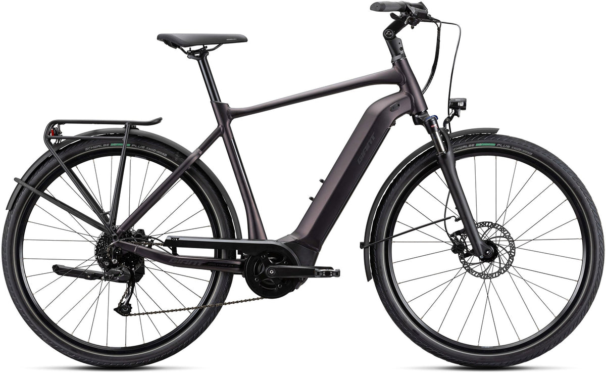 Giant DailyTour E+ 3 GTS Rosewood E-Bike - Lifty Electric