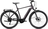 Giant DailyTour E+ 3 GTS Rosewood E-Bike