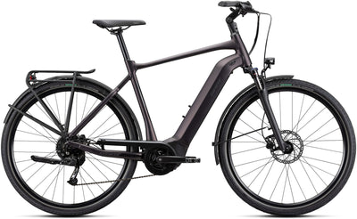 Giant DailyTour E+ 3 GTS Rosewood E-Bike
