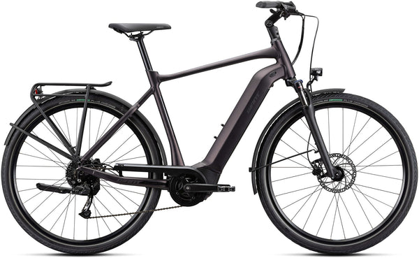 Giant DailyTour E+ 3 GTS Rosewood E-Bike