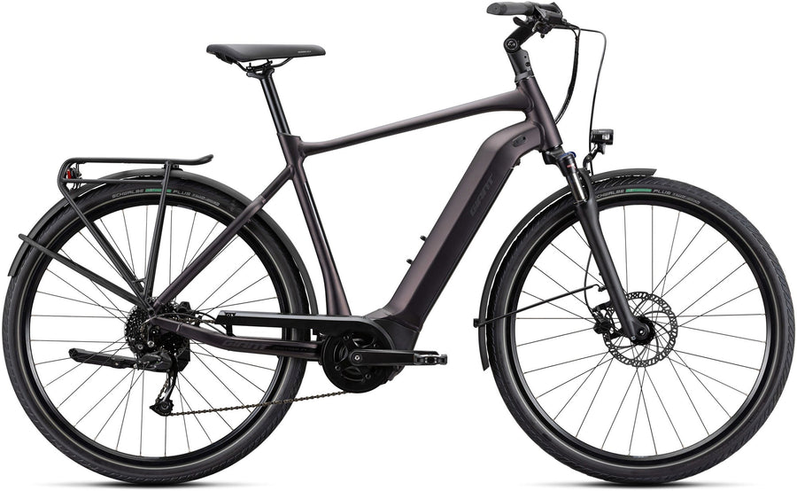 Giant DailyTour E+ 3 GTS Rosewood E-Bike - Lifty Electric