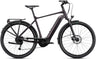 Giant DailyTour E+ 3 GTS Rosewood E-Bike