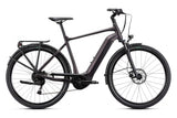 Giant DailyTour E+ 3 GTS Rosewood E-Bike - Lifty Electric