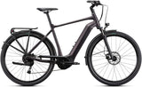 Giant DailyTour E+ 3 GTS Rosewood E-Bike - Lifty Electric