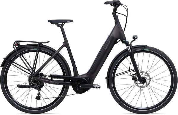 Giant DailyTour E+ 3 Lady Rosewood E-Bike