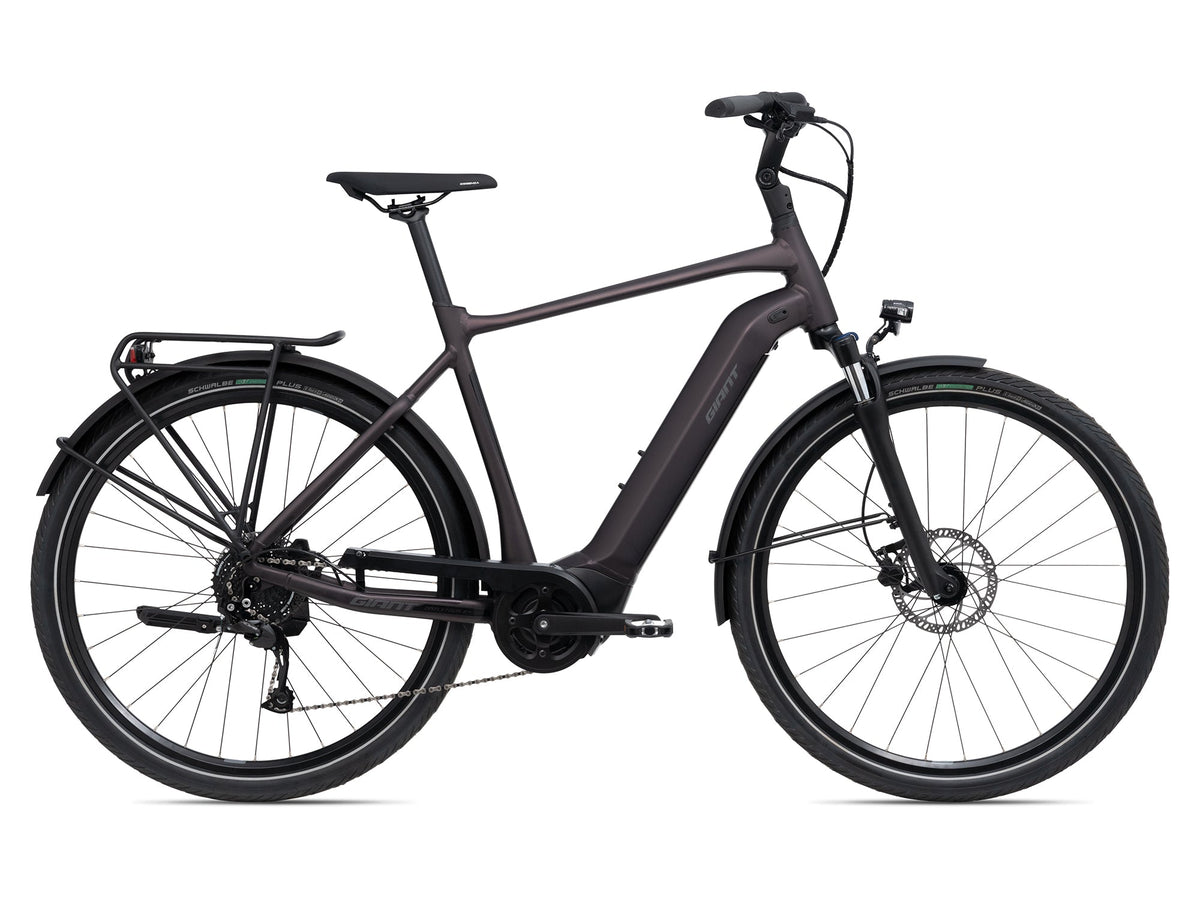 Giant DailyTour E+ 3 RC Dash Rosewood E-Bike - Lifty Electric