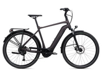 Giant DailyTour E+ 3 RC Dash Rosewood E-Bike