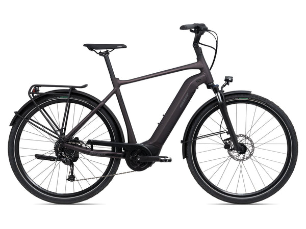 Giant DailyTour E+ 3 RC Dash Rosewood E-Bike