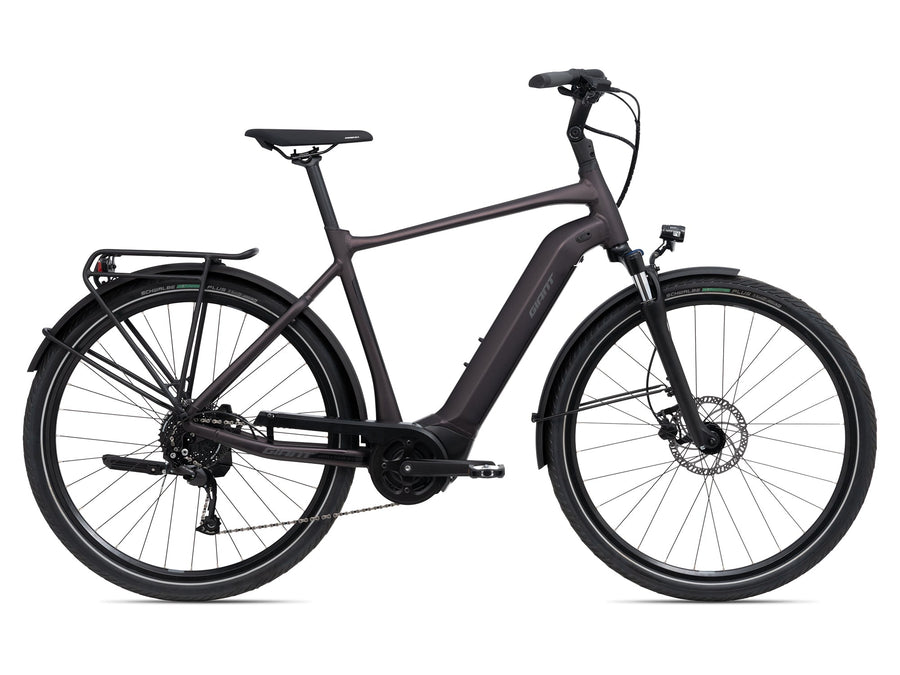 Giant DailyTour E+ 3 RC Dash Rosewood E-Bike - Lifty Electric