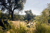 Giant Fathom E+ 2 - Lifty Electric