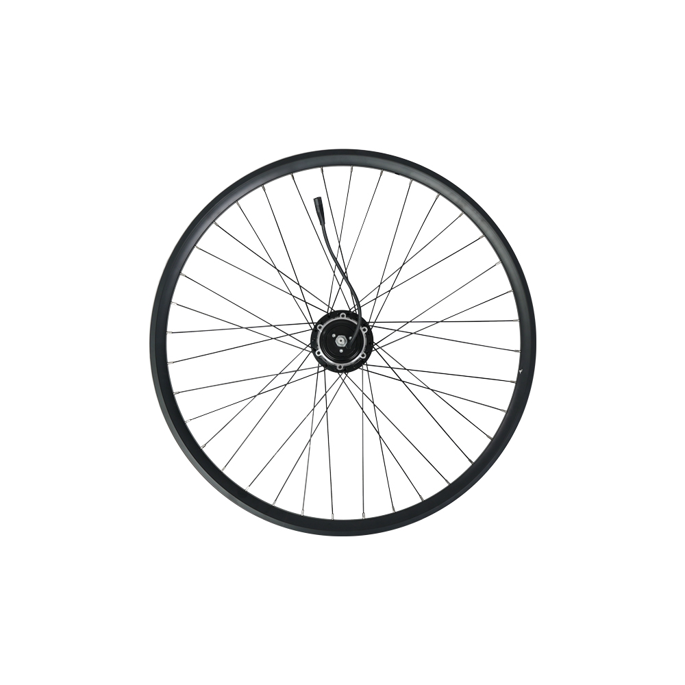 Fiido Rear wheel components for Fiido Air