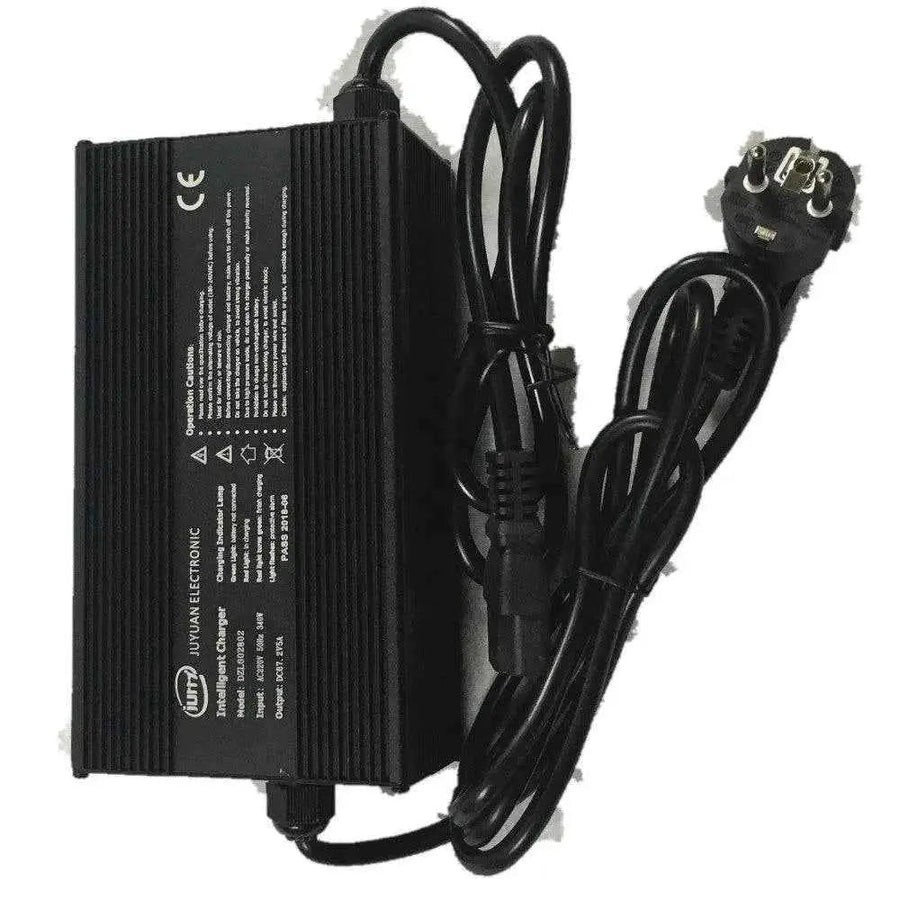 Lifty Electric Fun 67.2V 5A Fast Charger - Lifty Electric