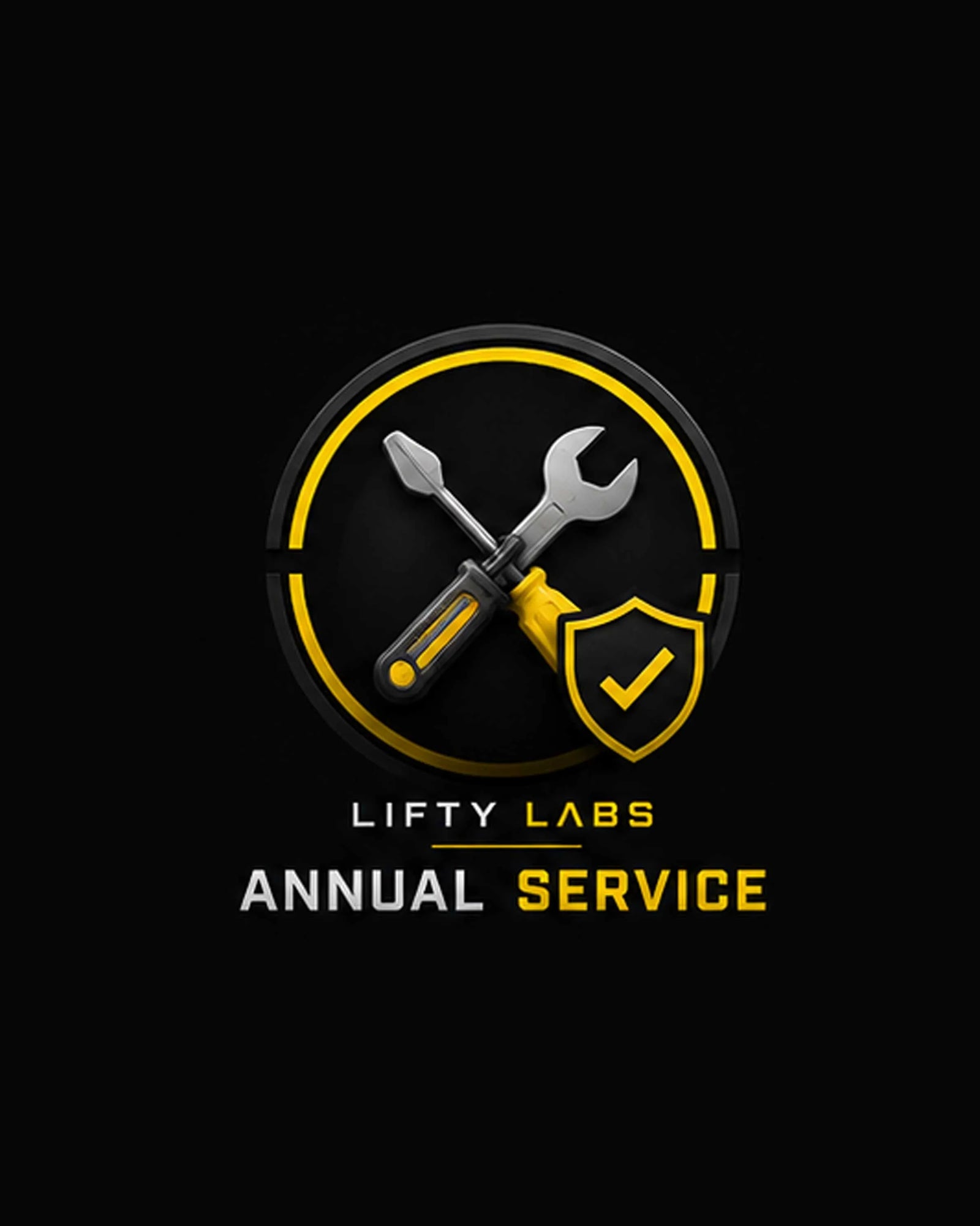 The Lifty Electric Annual Service