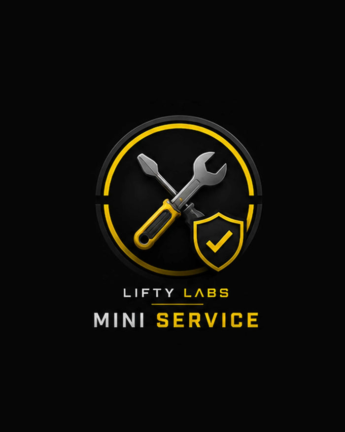 The Lifty Electric – Mini Service