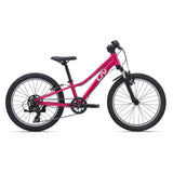 LIV Tempt 20 Kids Bike - Lifty Electric