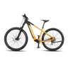 ROKTAR eBike MTB