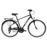 ROMET Wagant 1.0 Hybrid Bike