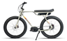 Ruff Cycles Biggie Performance Electric Bike