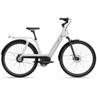TENWAYS AGO T Electric Bike