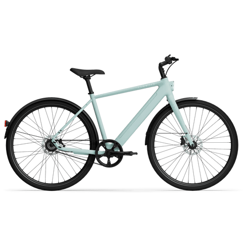 TENWAYS CGO600 Pro Electric Bike