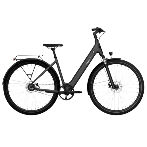 TENWAYS CGO800S Electric Bike