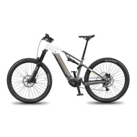 TERRAM MTB eBike