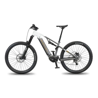 TERRAM MTB eBike