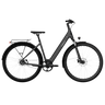 TENWAYS CGO800S Electric Bike
