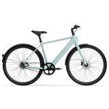 Electric bicycle TENWAYS CGO600 Pro, Mint Green (L)