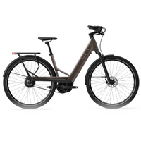TENWAYS AGO Performance Electric Bike