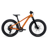 GIANT STP 20 Kids Bike