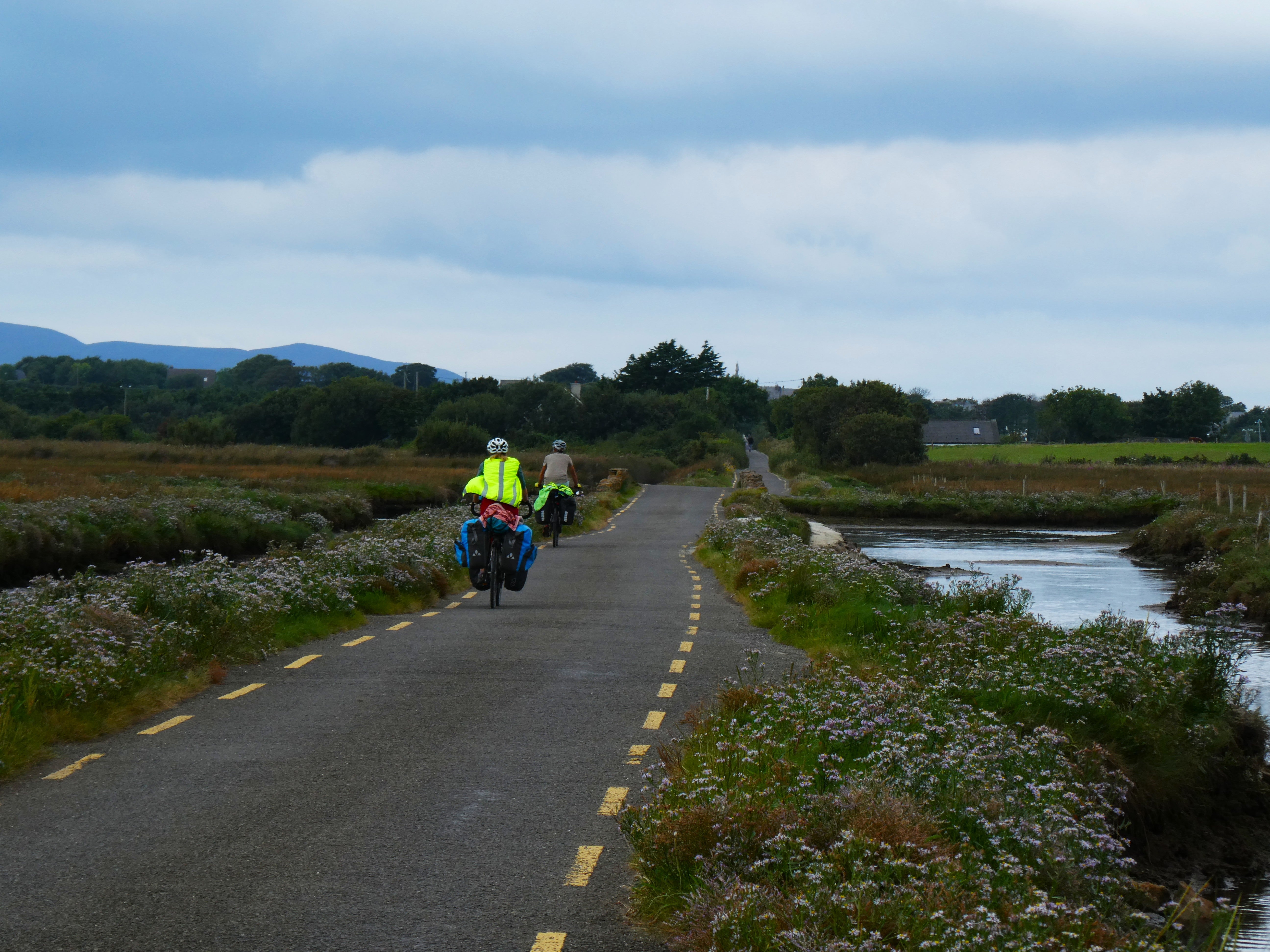 Real cyclists heading towards Castlegregory along the Dingle Way through Caher Marsh in County Kerry